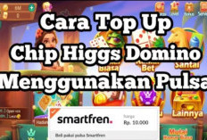 Cara Top Up Higgs Domino Melalui Pulsa Smartfren, 100 Work! Langsung Bisa Main