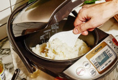 Cara Mendapatkan Rice Cooker Gratis Dari Pemerintah: Khusus Untuk Masyarakat yang Belum Punya Saja