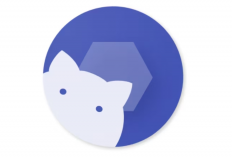 Shizuku APK Tidak Bisa Pairing Komputer? Tak Perlu Panik! Ini Dia Cara Mengatasi Masalahnya