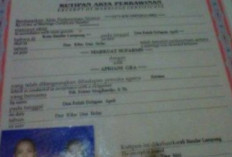 Cara Mengurus Akta Nikah yang Terlambat: Prosedur, Persyaratan, dan Langkah-langkah yang Harus Diikuti