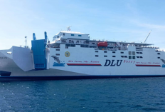 Jadwal Kapal Laut Dharma Rucitra Rute Surabaya - Labuan Bajo Juni 2024, Sudah Update! Catat Sekarang