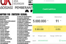 20+ Daftar Aplikasi Pinjol Ilegal 2023 Cepat Cair, Waspada! Bunga Bisa Naik Hingga 50%