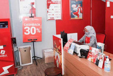 Keuntungan Modal Franchise SiCepat, Balik Modal Cepat? Cek Rincian Perhitungannya Disini