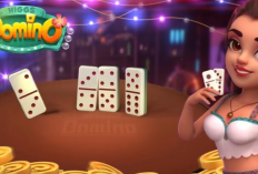 Download Higgs Domino X16 Original V2.22 Update Terbaru 2024, Gacor di Olympus maupun Buto Ijo!