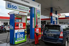 Bahan Bakar Minyak Biodiesel (B50) Diresmikan Oleh Presiden RI Prabowo: 'Bukti Indonesia Mampu Memanfaatkan Kekayaan Alam'