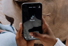 Jadwal FYP TikTok Hari Ini Tanggal 30-31 Januari 2024, Bersiaplah! Kontenmu Akan Viral dalam Hitungan Detik