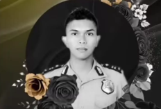 Profil Iptu Dien Fahrur Romadhoni, Eks Kanit SPKT Polres Tarakan Meninggal Dunia Tinggalkan Duka Mendalam!