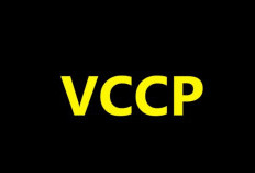VIRAL! Aplikasi VCCP Penghasil Uang Apakah Penipuan? Langsung Gercepin Faktanya di Sini Biar Nggak Kegocek 