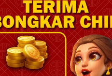 Agen Bongkar Chip Hinggs Domino 24 Jam, Hubungi Kontaknya dan Dapatkan Banyak Keuntungan!