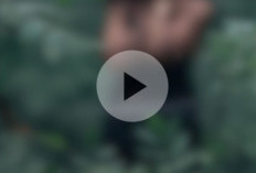 Bocoran Video Nita Pendaki Viral 12 Menit, Intip Isinya yang Bikin Geger Warga Twitter di Sini