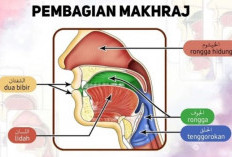 Contoh Soal Materi Makhorijul Huruf, Tempat Keluarnya Huruf-huruf Hijaiyah