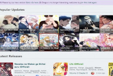 Kenapa Batotoo.com Tidak Bisa Dibuka, Begini Cara Mengatasinya yang Gampang Cuma Butuh 1 Menit