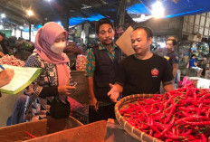 Prediksi Harga Cabai Januari 2024 di Berbagai Daerah! Stok Terbatas, Diperkirakan Alami Kenaikan Lagi