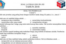 Kumpulan Soal-soal OSN IPA SD/MI Terbaru 2024, Dilengkapi Kunci Jawaban! Bisa Untuk Latihan Lomba