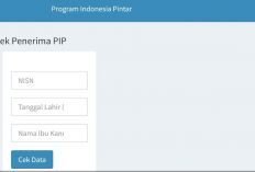 Cek Penerima PIP Kemdikbud Melalui Si Pintar dengan Mudah, Data Langsung Keluar Tanpa Prose Lama!