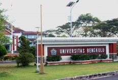 Daftar Jurusan Sepi Peminat di UNIB Bengkulu ini Punya Peluang Besar Lolos UTBK SNPB 2023 