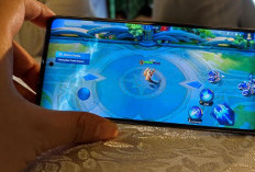 Daftar Hero OP Push Rank Januari 2024 Udah Update Patch Pakai Ini Pasti Auto Level Up, Siapa yang Jadi Andalanmu?