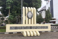 Daftar Jurusan Sepi Peminat Universitas Diponegoro 2023, Bisa Jadi Referensi Program Studi Pilihan