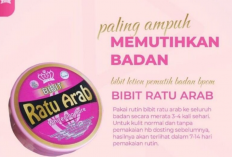 Cara Membedakan Bibit Ratu Arab Asli dan Palsu dengan Mudah, Perhatikan Ciri-ciri Berikut!