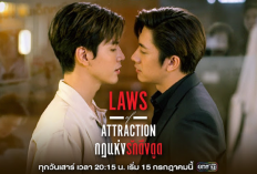 TAMAT! Nonton Drama Laws of Attraction (2023) Episode 8 Sub Indo, Titik Terang Kasus Penyelidikan Pembunuhan