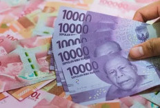 Lagi Viral! Idfutsals Com Penghasil Uang Penipuan Atau Bukan? Sebelum Coba-Coba Simak Dulu Faktanya di Sini 