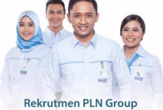 Info Lowongan Kerja PT PLN Februari 2024 Untuk Lulusan SMK Sederajat, Cek Syarat dan Kelengkapan Disini!