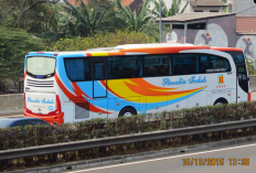 Jadwal Jam Keberangkatan Bus Rosalia Indah Terbaru 2023 Untuk Semua Rute