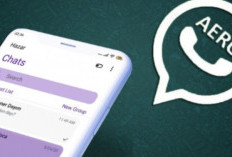 WhatsApp (WA) Aero v9.93 APK Terbaru 2024 Free Download, Update Terkini Lengkap Dengan Cara Penggunaannya
