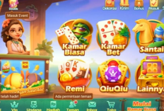 Download Tdomino Boxiangyx APK 2023, Jadilah Mitra Higgs Domino dan Hasilkan Banyak Cuan