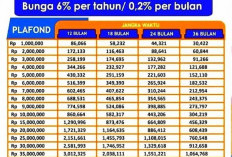 Pinjam Uang Sampai 60 Bulan! Cek Tabel Angsuran KUR BRI Rp 100 Juta 2023 yang Cocok Untuk Pengusaha