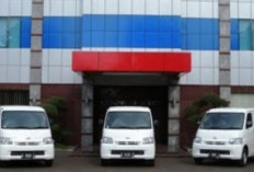 Apakah PT Hindia Internal Forsindo Penipuan atau Memang Peluang yang Nyata? Simak Cara Agar Tak Jadi Korban!