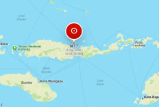  Guncangan Gempa Bumi 7,7 Magnitudo dengan Kedalaman 15 Meter Melanda Nusa Tenggara Timur