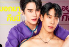Voir BL Drama Thai Wandee Goodday (2024) Episode 1 Complet VOSTFR 1080p L'histoire d'un chirurgien et d'un combattant