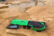 Dampak Kemarau Ekstrem, Sungai Kapuas Kalimantan Barat Mengering hingga Kapal Tongkang Kandas dan Sulit Berlayar