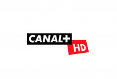Liste Des Codes Promo Canal Plus Gratuits Aujourd'hui, Nouvelle Mise à Jour Il y a 1 Minute