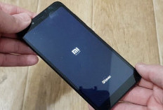 Cara Mengatasi HP Xiaomi Hidup Mati Lagi, Ini Penyebab dan Cara Mudah Atasinya