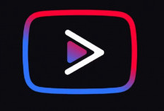 Youtube Tanpa Iklan APK Terbaru Januari 2024, Gratis Akses Tanpa Perlu Berlangganan!