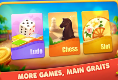 Kode Penukaran Higgs Domino Island Hari Ini, 20 Maret 2024 yang Masih Aktif dan Cara Klaimnya, Koin Gratis Tembus 90B 