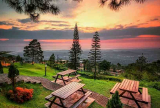 Pondok Kopi Umbul Sidomukti Semarang, Nongkrong Cantik dengan Spot Foto Estetik