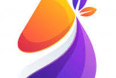 PeloporOil Com Apk Penghasil Uang Terbukti Membayar? Legit Tembus Jutaan Rupiah!