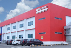 Alamat Kantor DC Alfamart Branch Madiun Terbaru dan Terlengkap, Beserta Informasi Kontaknya!
