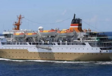 Jadwal dan Rute Kapal Laut Labuan Bajo-Bali Hari Selasa 5 Desember 2023, Akhir Taun Alami Kenaikan Harga!