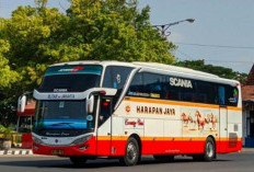 Cara Mudah Mencari Agen Bus Harapan Jaya Terdekat, Tak Perlu Pusing! Ikuti Langkah dan Tips Berikut Ini