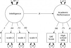 Manfaat Structural Equation Modeling (SEM) dalam Sebuah Penelitian, Untuk Pengujian Hipotesis hingga Analisis Multivariat