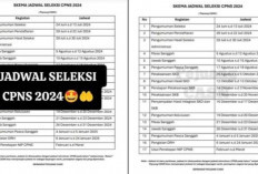 Pendaftaran CPNS Dibuka 15-29 Juli 2024 Sudah Resmi? Cek Disini Tanggal Lengkap dan Ketentuan!