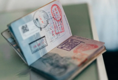 Prosedur dan Contoh Surat Rekomendasi Disnaker Untuk Penerbitan Paspor Sesuai Aturan