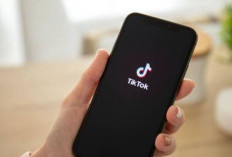 Hashtag FYP TikTok 2024 Auto VIRAL dan Trending Cobain Pakai di VT Kamu Sekarang Juga