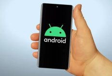 Berapa Lama Fastboot di HP Redmi (Xiaomi) Berlangsung? Ini Dia Durasinya! Simak Penjelasannya Disini