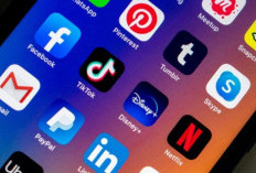 Apakah Aplikasi Fs Solar Apk Terbukti Membayar, Cari Tau di Sini Sebelum Keburu Mengunduhnya