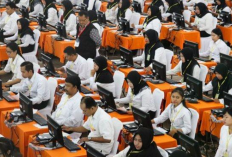 Jadwal Rekrutmen CPNS 2024 Lewat SSCASN, BKN Bagi Seleksi Jadi 3 Periode 